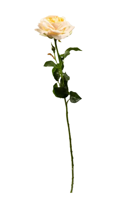 Artificial Cream Rose — Buttercream Ivory | Vyne Boutique