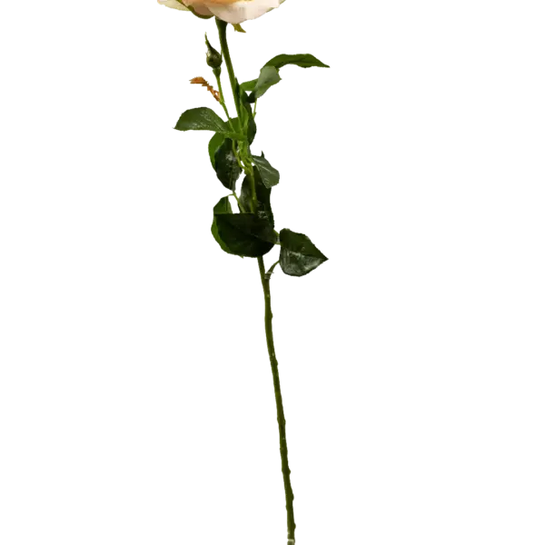 Artificial Cream Rose — Buttercream Ivory | Vyne Boutique