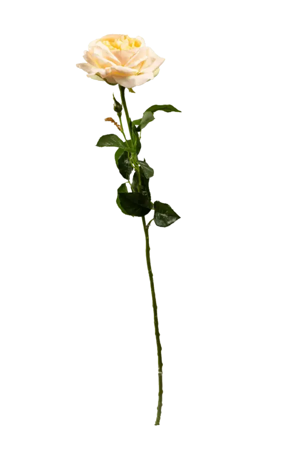 Artificial Cream Rose — Buttercream Ivory | Vyne Boutique