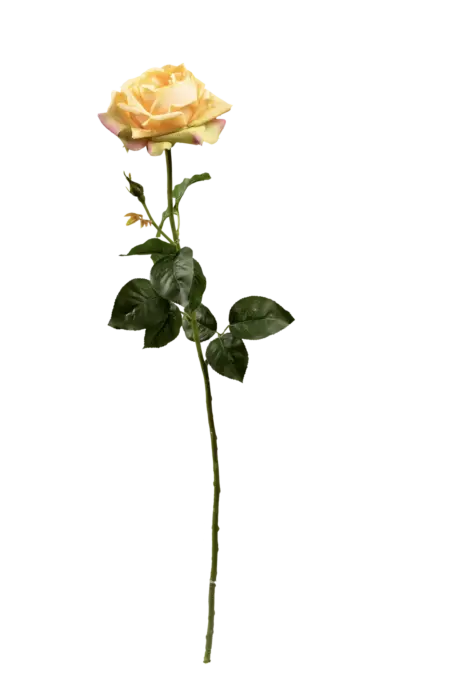 Artificial Orange Rose — Sunset Apricot | Vyne Boutique