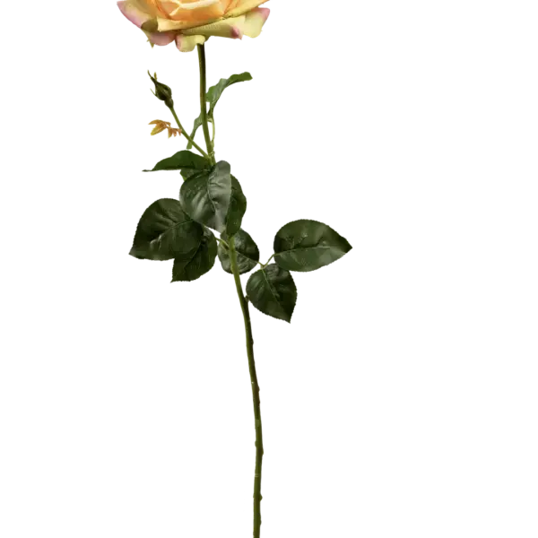 Artificial Orange Rose — Sunset Apricot | Vyne Boutique