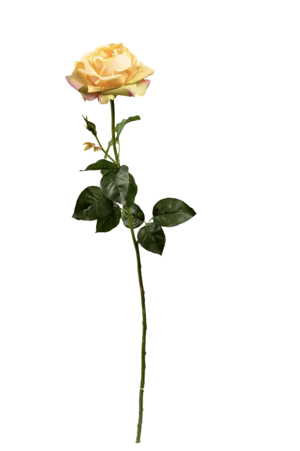 Artificial Orange Rose — Sunset Apricot | Vyne Boutique