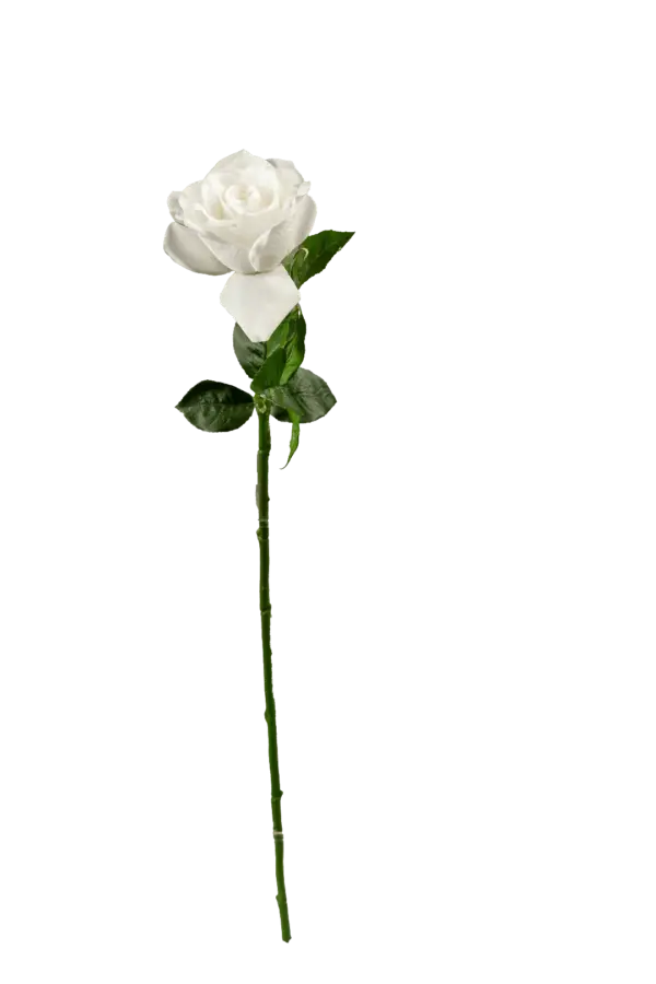 Artificial Pink Rose — Petal Pink | Vyne Boutique