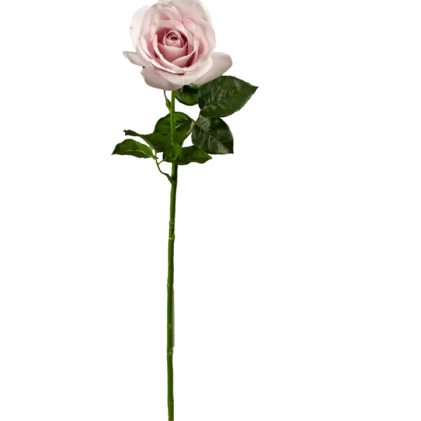 Artificial Pink Rose — Blushing Pearl | Vyne Boutique