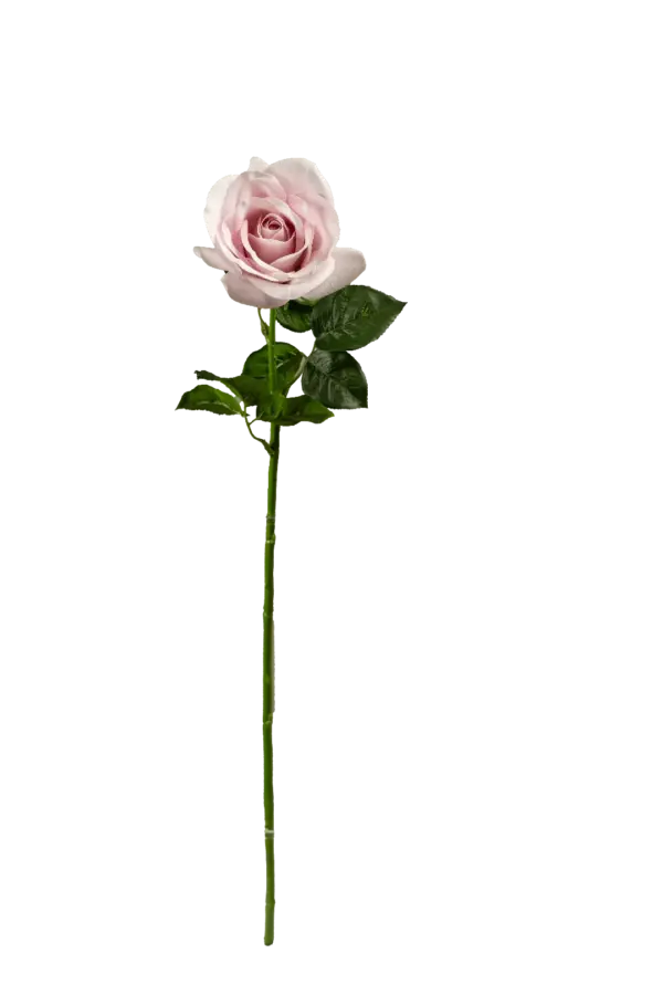 Artificial Pink Rose — Blushing Pearl | Vyne Boutique