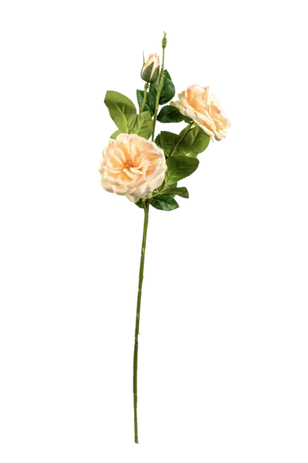 Artificial Floribunda Rose — Ivory White | Vyne Boutique