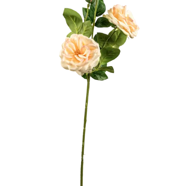 Artificial Floribunda Rose — Ivory White | Vyne Boutique