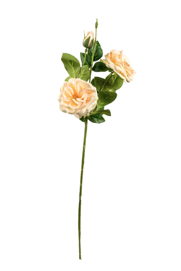 Artificial Floribunda Rose — Ivory White | Vyne Boutique