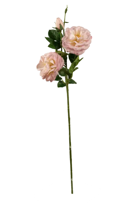 Artificial Floribunda Rose — Blush Pink | Vyne Boutique