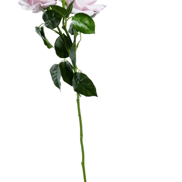 Artificial Pink Rose — Petal Veil | Vyne Boutique