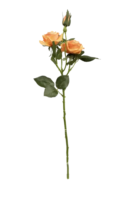 Artificial Peach Rose — Warm Apricot | Vyne Boutique