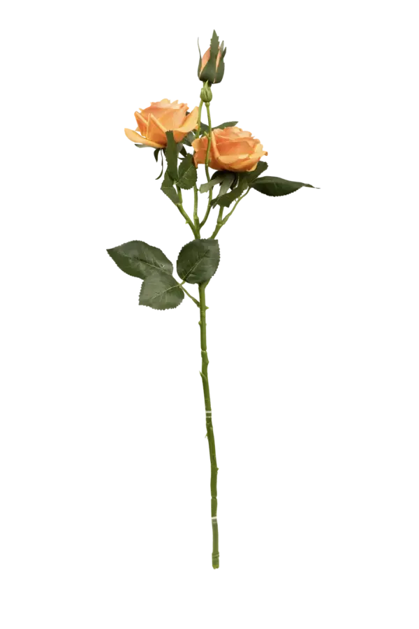 Artificial Peach Rose — Warm Apricot | Vyne Boutique