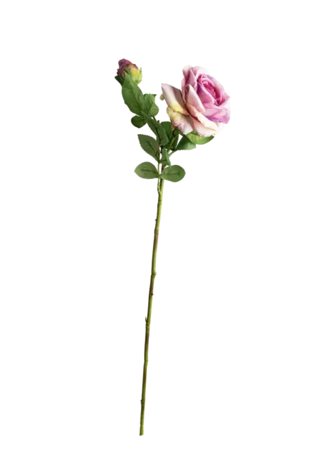 Artificial Pink Rose — Blush Cream | Vyne Boutique