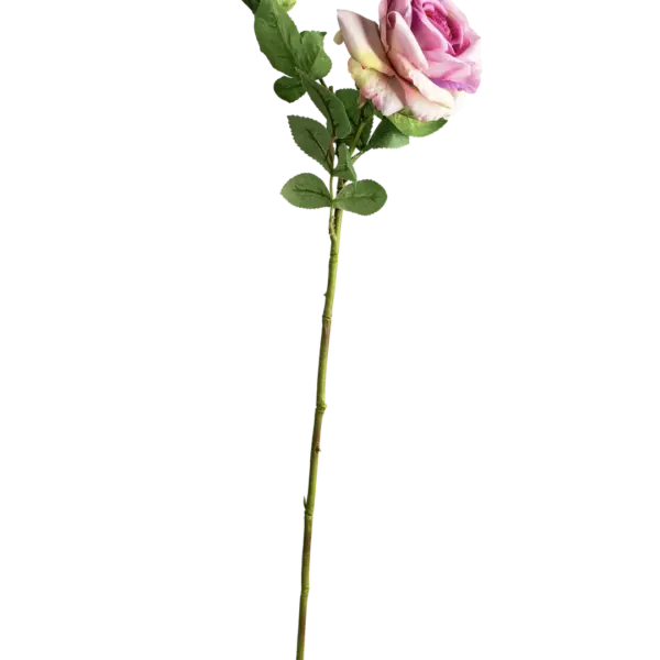Artificial Pink Rose — Blush Cream | Vyne Boutique