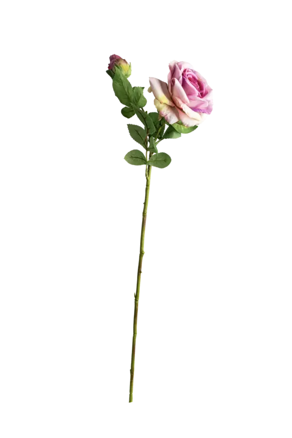 Artificial Pink Rose — Blush Cream | Vyne Boutique