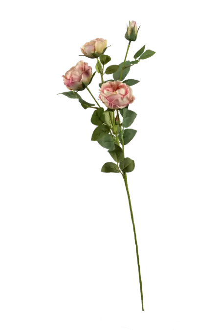Artificial Blush Rose — Blush Cream | Vyne Boutique