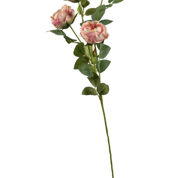 Artificial Blush Rose — Blush Cream | Vyne Boutique