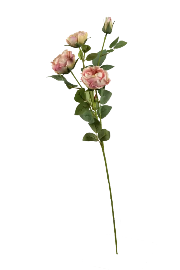 Artificial Blush Rose — Blush Cream | Vyne Boutique