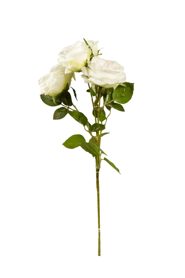 Artificial Garden Rose — Petal Blush Pink | Vyne Boutique