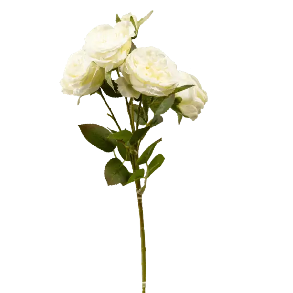 Artificial Garden Rose — Ivory Silk Cream | Vyne Boutique