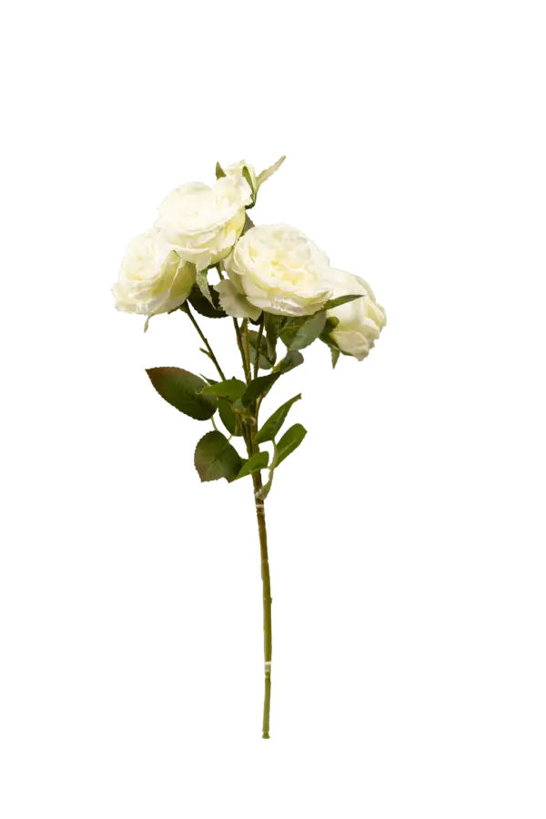 Artificial Garden Rose — Ivory Silk Cream | Vyne Boutique