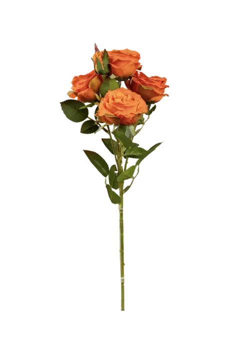 Artificial Garden Rose — Burnt Apricot Ember | Vyne Boutique