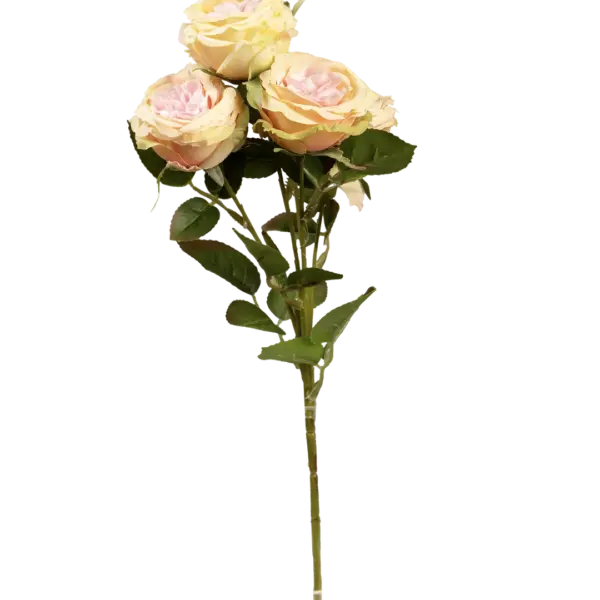 Artificial Garden Rose — Creamy Blush | Vyne Boutique