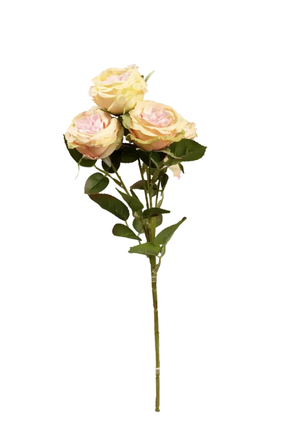 Artificial Garden Rose — Creamy Blush | Vyne Boutique