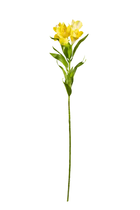 Artificial Alstroemeria Flower — Buttercream Yellow | Vyne