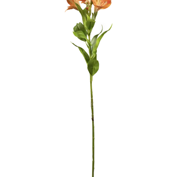 Artificial Alstroemeria Flower — Apricot Blush | Vyne Boutique
