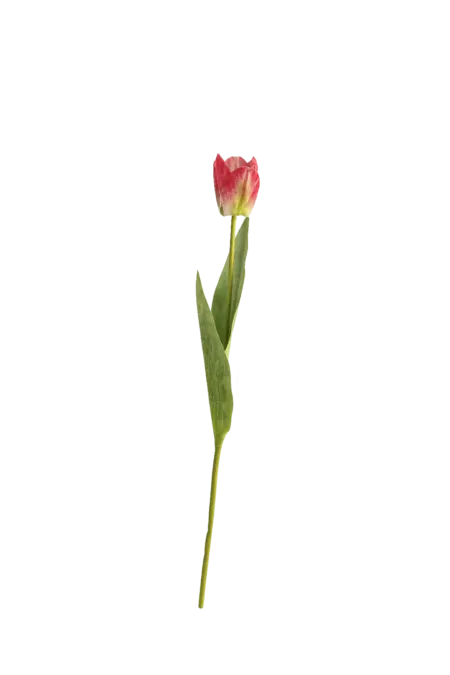 Artificial Tulip Flower — Blush Pink | Vyne Boutique