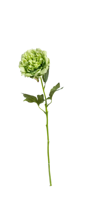 Artificial Peony Flower — Pistachio Blush | Vyne Boutique