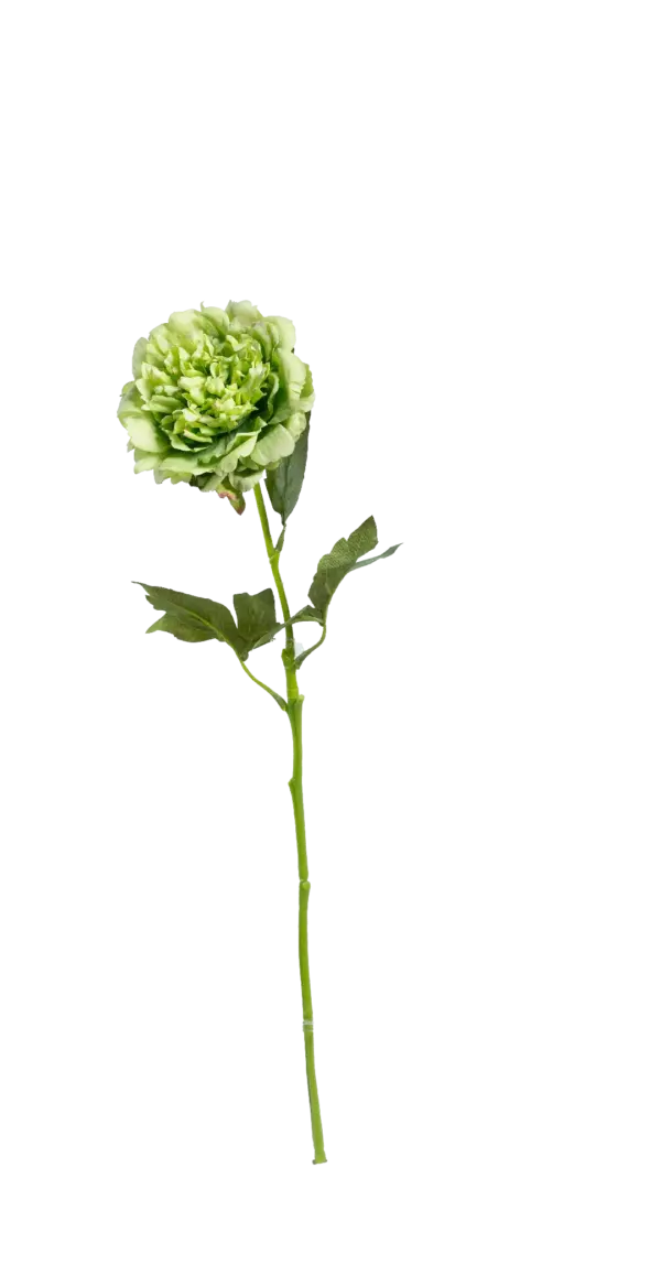 Artificial Peony Flower — Pistachio Blush | Vyne Boutique