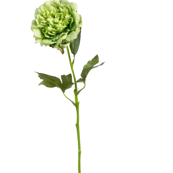 Artificial Peony Flower — Pistachio Blush | Vyne Boutique