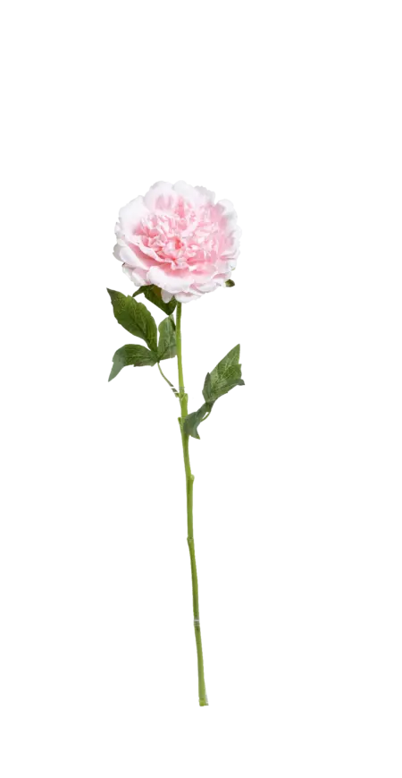 Artificial Peony Flower — Soft Petal Pink | Vyne Boutique