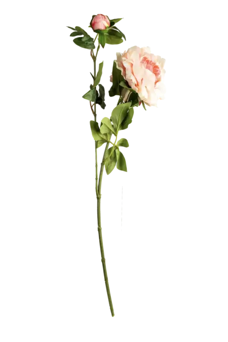 Artificial Peony Flower — Soft Ivory Cream | Vyne Boutique