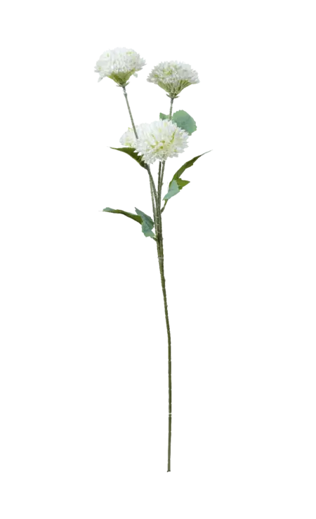 Artificial Cream Allium — Ivory Bloom | Vyne Boutique