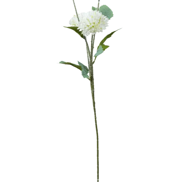 Artificial Cream Allium — Ivory Bloom | Vyne Boutique