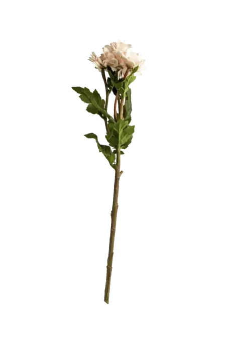 Artificial Chrysanthemum Spray — Blush White | Vyne Boutique