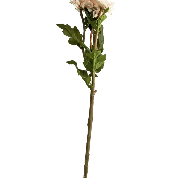 Artificial Chrysanthemum Spray — Blush White | Vyne Boutique