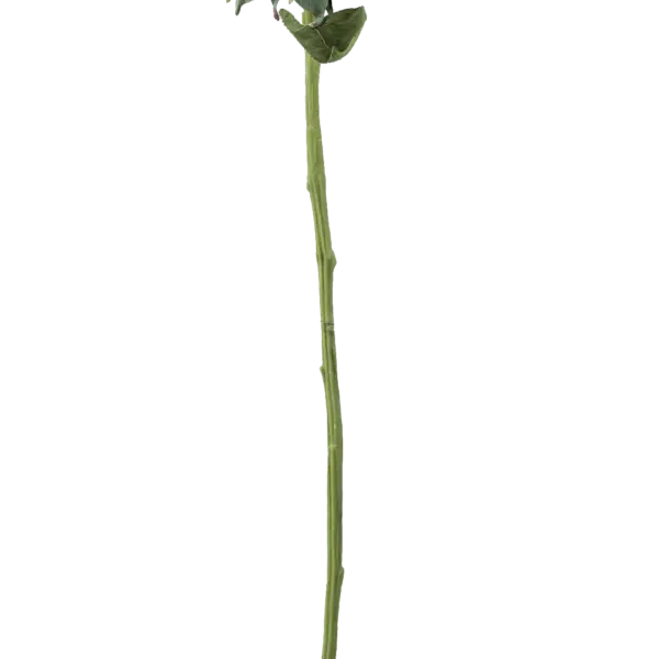 Artificial Sunflower Stem — Aged Linen | Vyne Boutique