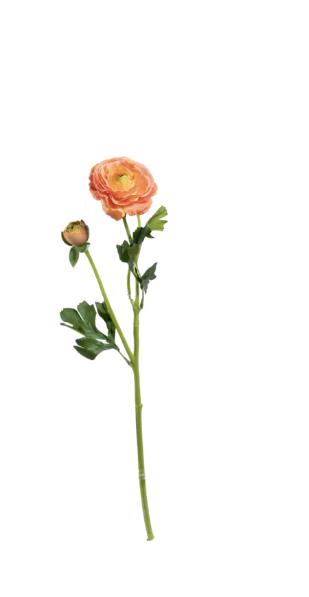 Artificial Ranunculus Flower — Apricot Glow | Vyne Boutique