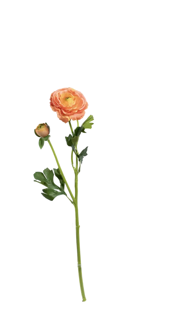 Artificial Ranunculus Flower — Apricot Glow | Vyne Boutique
