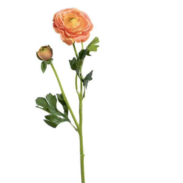 Artificial Ranunculus Flower — Apricot Glow | Vyne Boutique