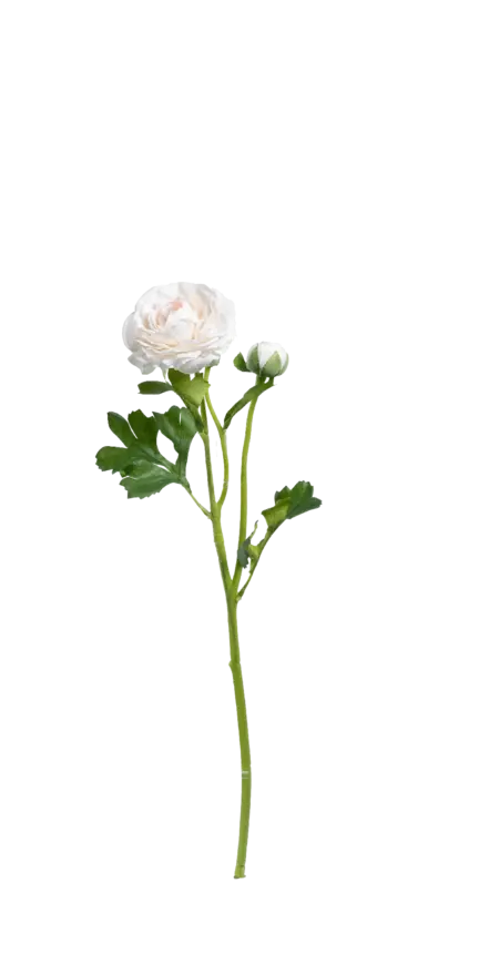 Artificial Ranunculus Flower — Ivory Blush | Vyne Boutique