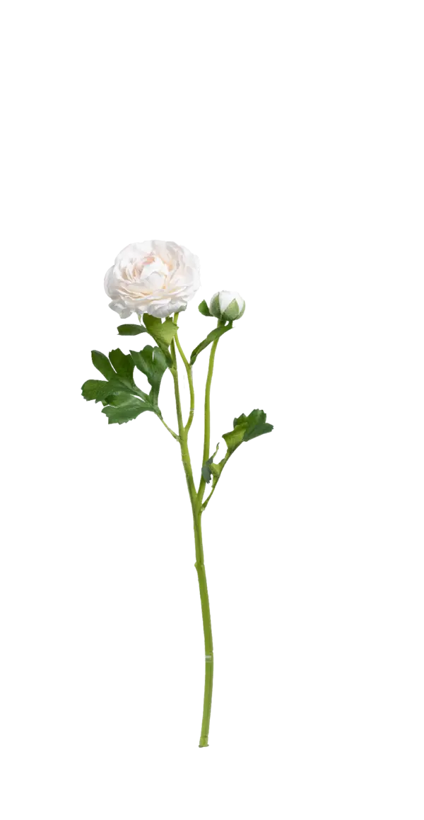 Artificial Ranunculus Flower — Ivory Blush | Vyne Boutique