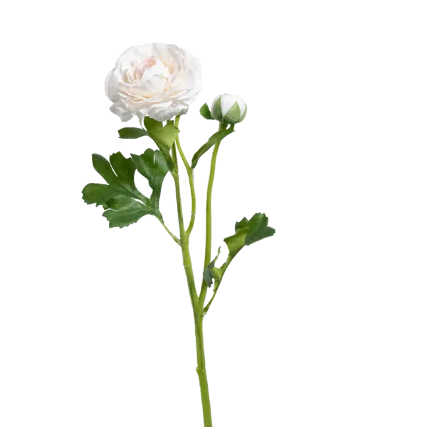 Artificial Ranunculus Flower — Ivory Blush | Vyne Boutique