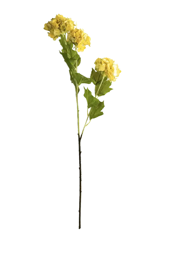 Artificial Hydrangea Flower — Butter Cream | Vyne Boutique