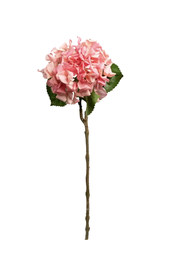 Artificial Hydrangea Flower — Flamingo Bloom Pink | Vyne