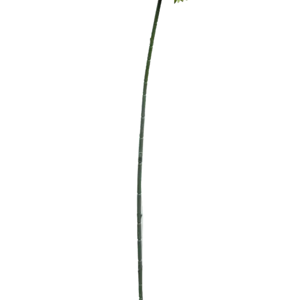 Artificial Green Allium — Celadon Green | Vyne Boutique